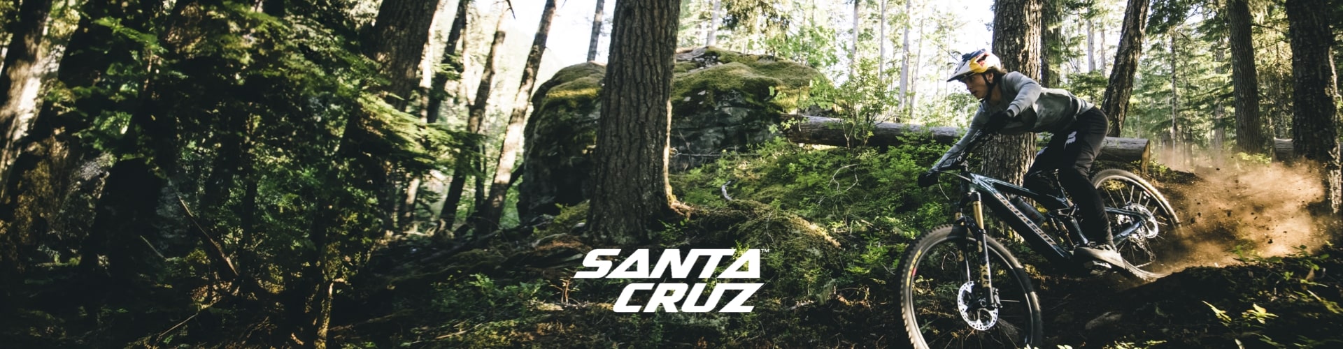 Santa Cruz