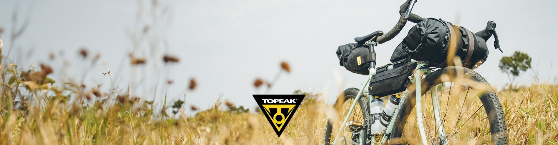 Topeak