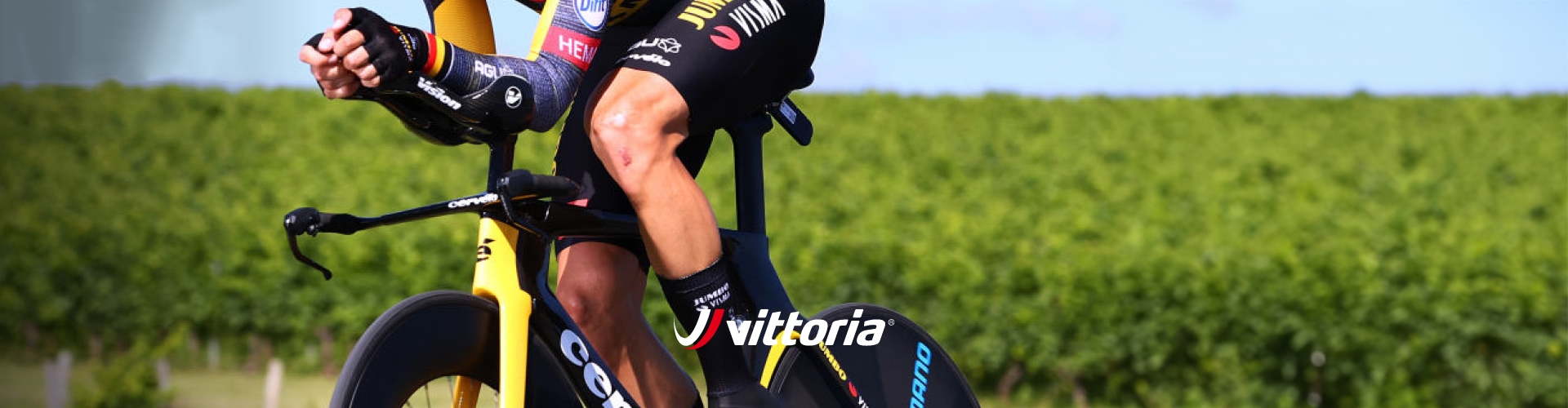 Vittoria