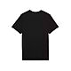 ABSOLUTE Men's Tech T-Shirt FOX