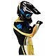 FLEXAIR MOTOCROSS KIT FOX ARC