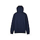 ABSOLUTE MEN'S HOODIE FOX