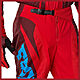 FOX 180 RAID MOTOCROSS PANTS
