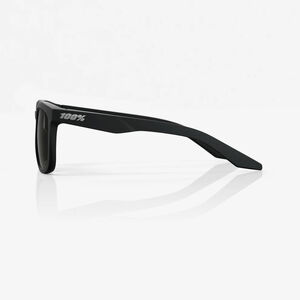 SUNGLASSES 100% HUDSON