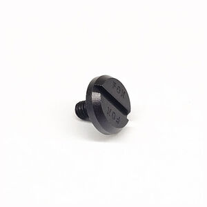 SPEEDFRAME VISOR SCREW (2024)